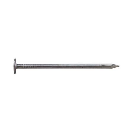 National Nail 2 in. 1 lbs EG Roofing Nail 5696778